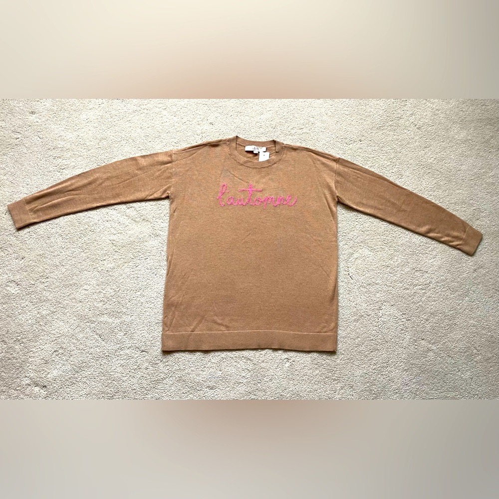 NWT Loft size small crewneck sweater